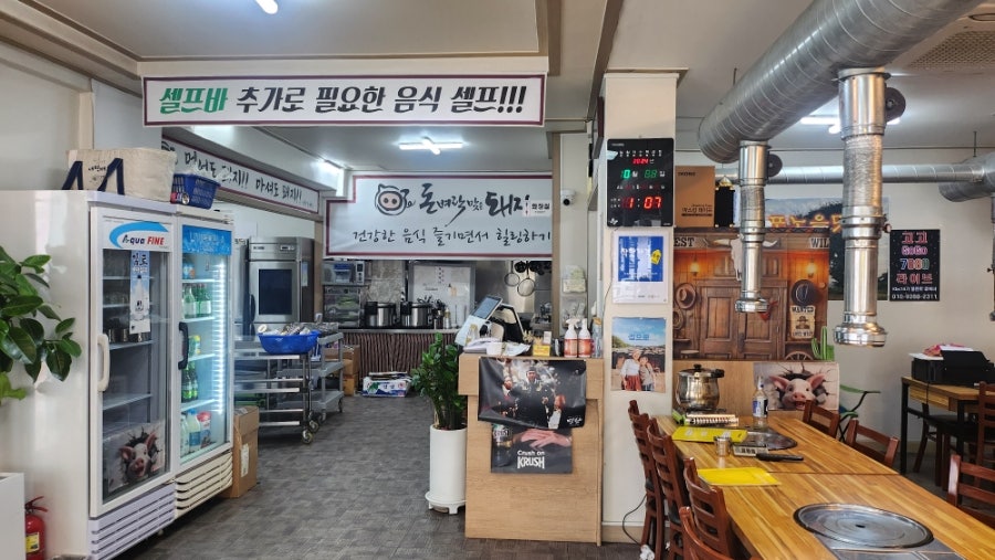돈벼락맞은돼지 사진 4