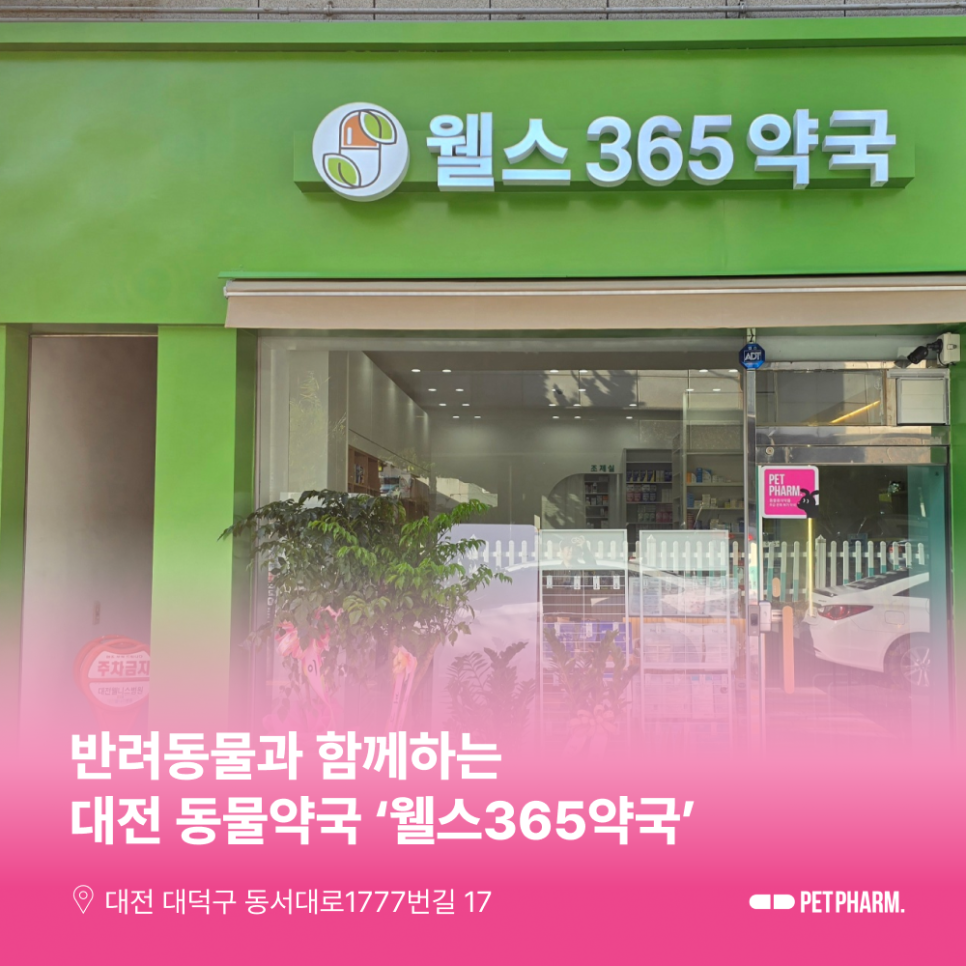 웰스365약국 사진 1