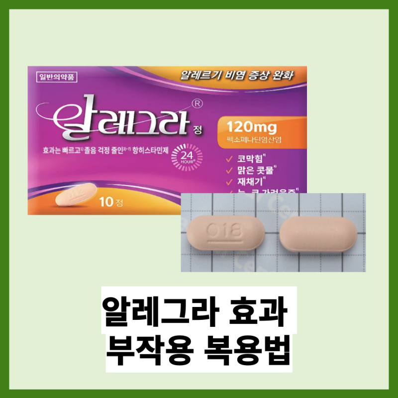 알레그라 효과 부작용 복용법