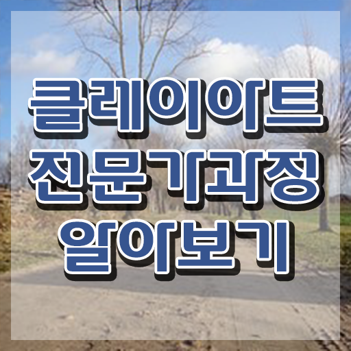  폴리머클레이 피규어 , 클레이아트전문가 자격증 20일 만에 준비한 과정 정보 퍼펙트 요약