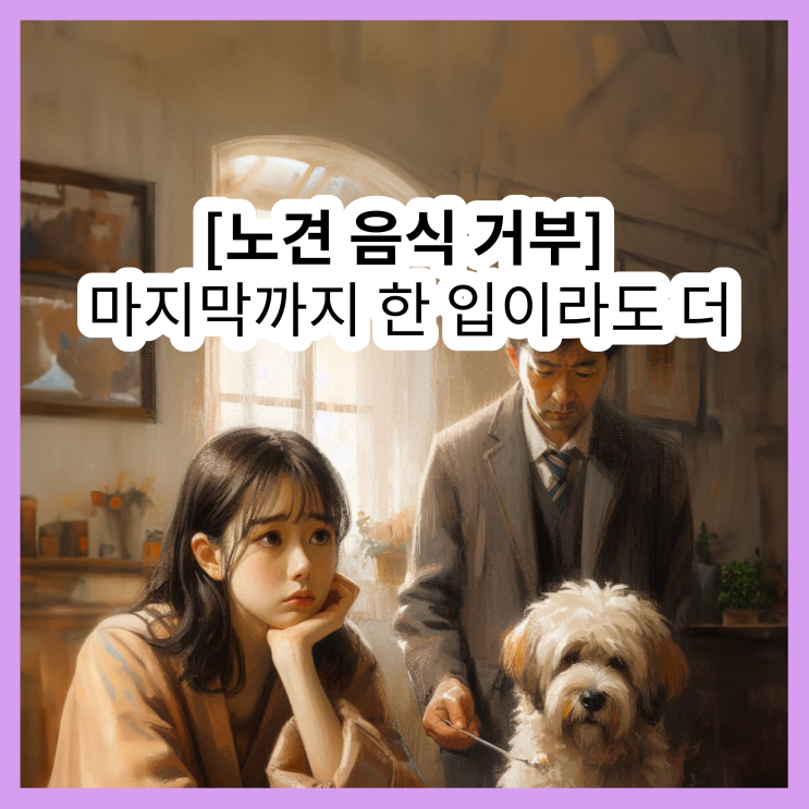  [노견 음식 거부] 이렇게 해보세요, 실전 노하우