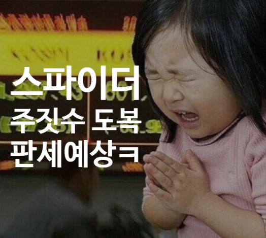 스파이더 루카 콜라보 주짓수 도복에 대한 의견