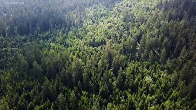  아동심리상담사2급학원추천 , 아동심리상담사 자격증 15일 만에 합격한 팁 및 활용 방법