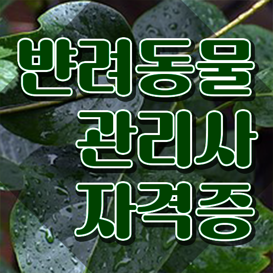  반려동물관리사 학원 , 반려동물관리사 자격증 취득한 과정 확인해보세요