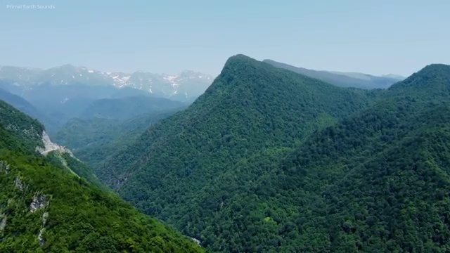  병원서비스총괄매니저 무료 인강 , 병원서비스총괄매니저 자격증 온라인으로 쉽게 취득한 정보 및 전망