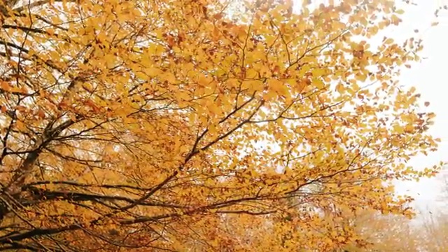  노인 심리상담사 자격증 , 심리상담사 자격증 직장인도 쉽게 취득했던 후기 필수 정보