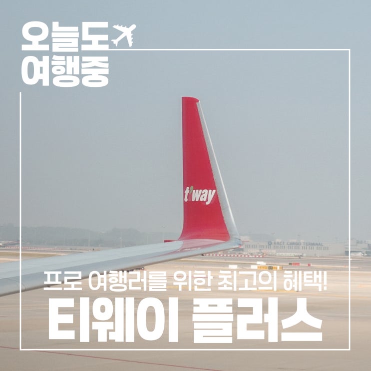  [미친 혜택 티웨이플러스] 내돈내산 플래티넘 멤버십 혜택 및 이용 꿀팁