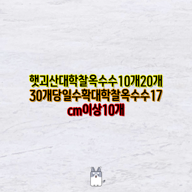 괴산 대학찰옥수수 쇼핑 가이드| 10개, 20개, 30개, 15개, 17cm, 냉동, 생, 삶은, 특대까지! | 괴산 ....