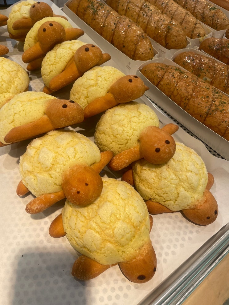  [포항 여행 맛집] 포항 중앙상가 시민제과 빵집