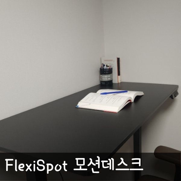  1200 컴퓨터 책상 추천 FlexiSpot 모션데스크