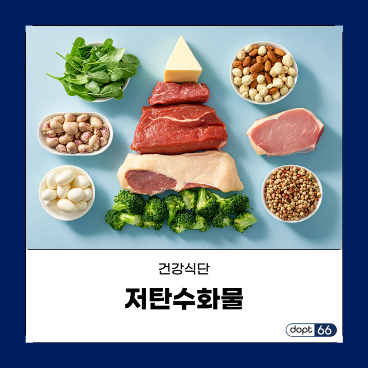  저탄수화물 식단 효과, 부족한 영양소 보충 방법