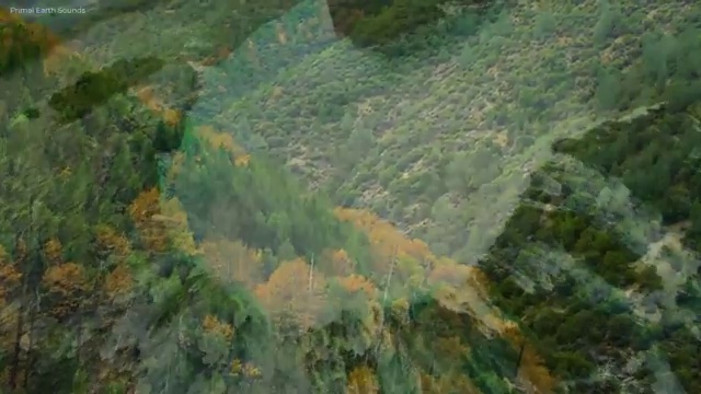  부동산 매매 수수료 계산기 , 부동산자산관리전문가 부동산자산관리사자격증 독학으로 공부한 방법