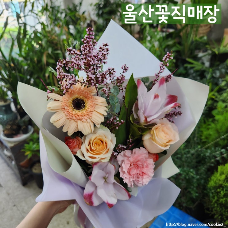  [무거동/ 울산대/ 울산 가성비 꽃집] "울산꽃직매장" 부모님인사 꽃다발