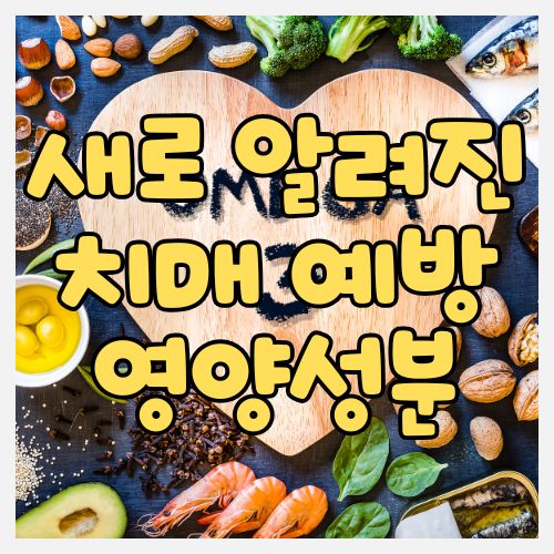  사람들이 잘 모르는 치매에 좋은 영양성분 - 오메가3 효능 하루에 얼마를 먹어야 효과가 있을가?
