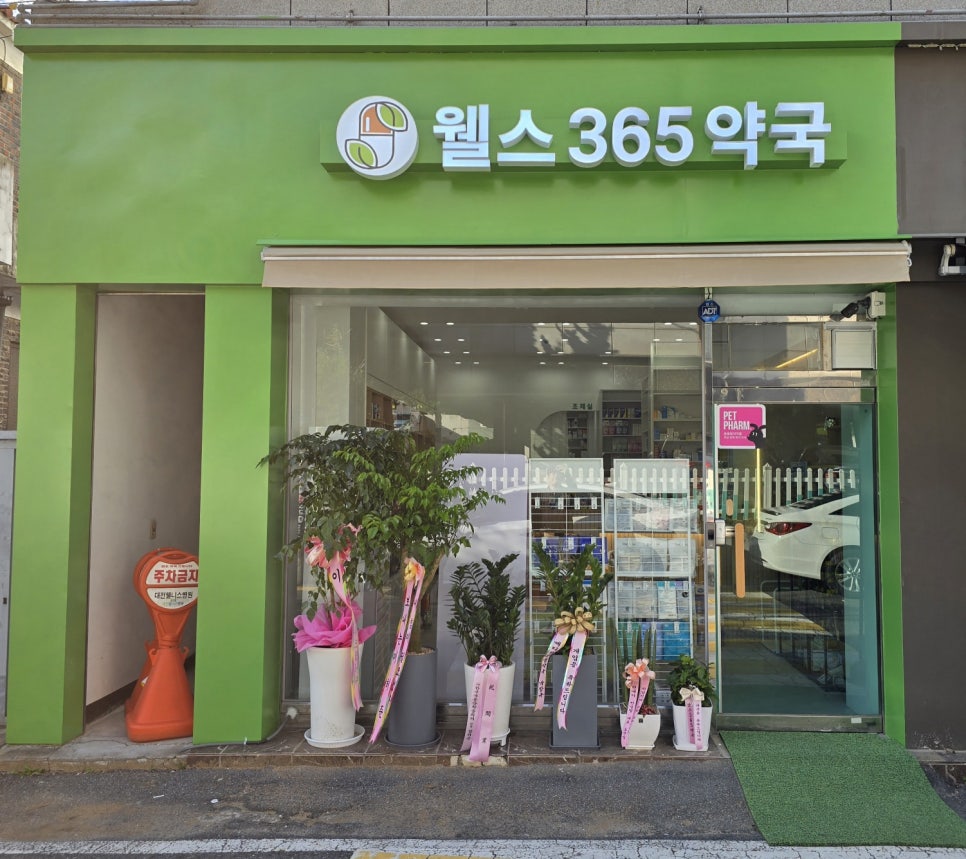 웰스365약국 사진 2