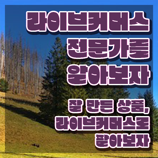  라이브커머스전문가 기간 , 라이브커머스전문가 자격증 합격한 후기 핵심 정보 가득