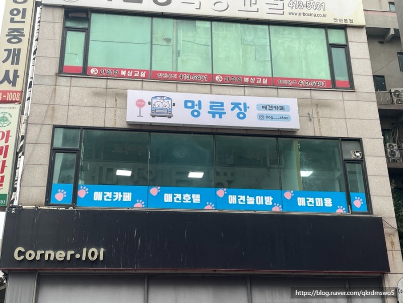 사진 3