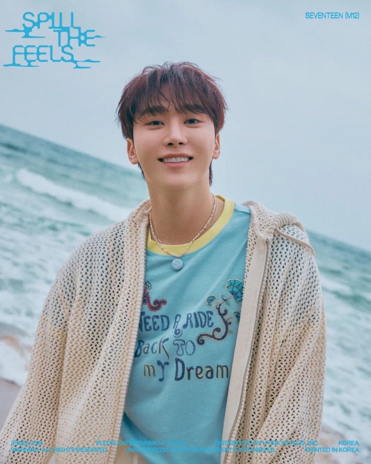 <b>세븐틴</b> 메인보컬 <b>승관 하이브</b> 문건  저격
