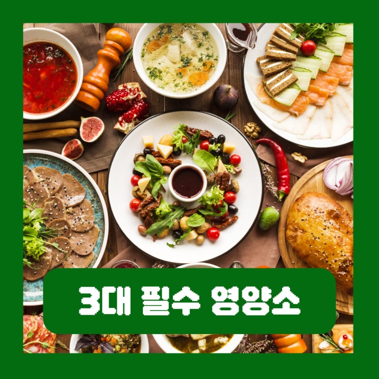  3대 필수 영양소 탄단지 탄수화물 단백질 지방 역할