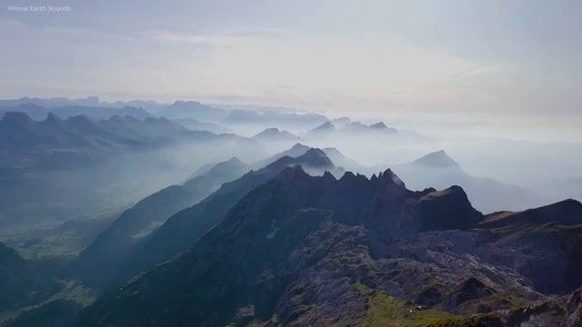  병원코디네이터강의 , 병원코디네이터 자격증 20일 만에 합격한 후기 , 취업 전망
