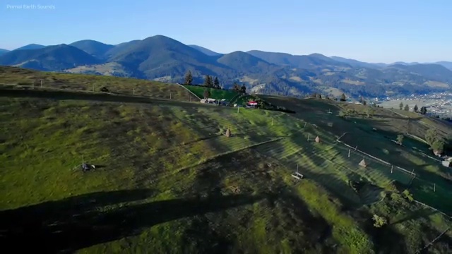  초등학교안전교육 , 학교안전지도사 자격증 2주 만에 취득한 방법 확인