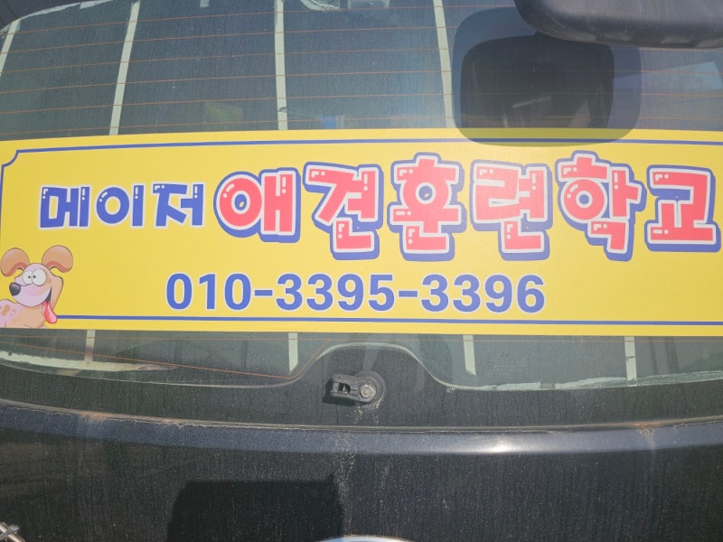 메이저애견훈련학교