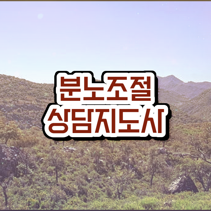  초등 분노 조절장애 분노조절상담지도사자격증 합격한 팁 , 빠르게 따는 법