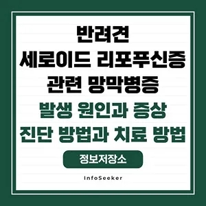  반려견의 세로이드 리포푸신증 관련 망막병증의 발생 원인과 영향, 진단 방법과 관리 방법