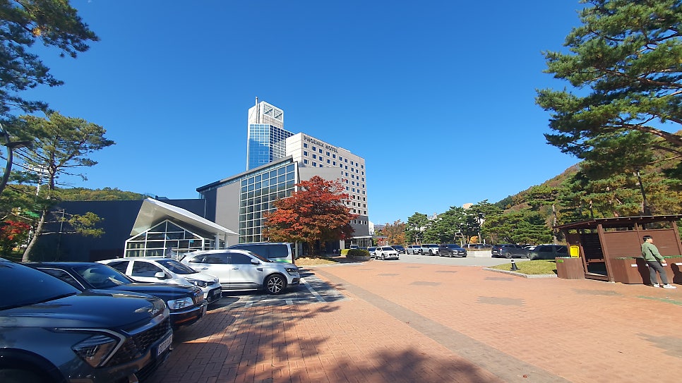 휘닉스파크 사진 1