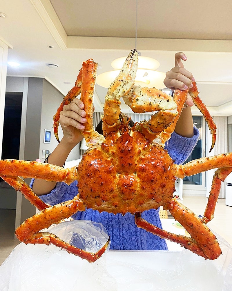 러시아대게 1kg당 25900원 최대한 버텨봅니다. 그외 킹크랩까지! : 네이버 블로그