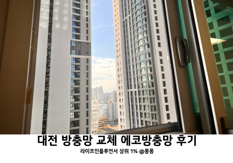 대전 아파트 현관 방충망 교체 에코방충망 시공 후기 미세먼지 추락방지 어린이 안전 방충망 대전 아파트 현관 방충망 교체 에코방충망 시공 후기 미세먼지 추락방지 어린이 안전 방충망