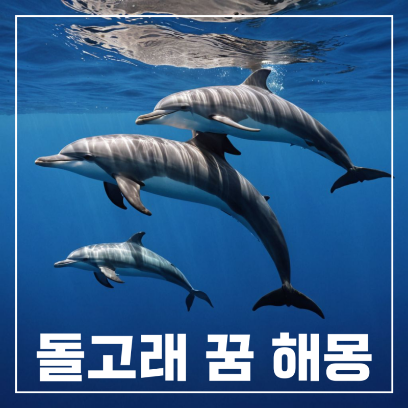 돌고래 나오는 돌고래떼 꿈 해몽 풀이