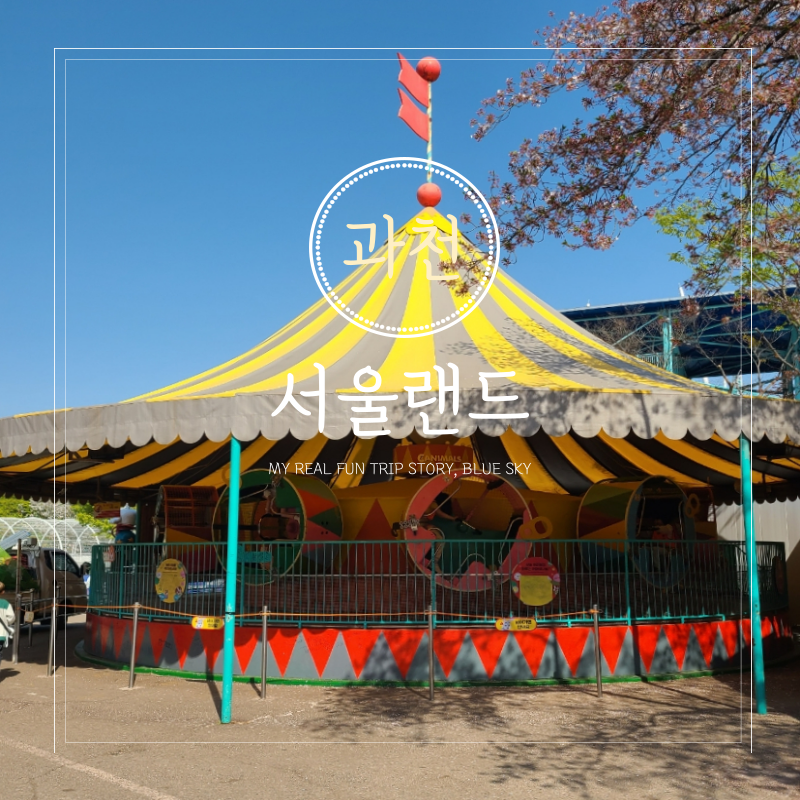 서울랜드 카드할인 주차팁 무료주차 야간 놀이기구 지도