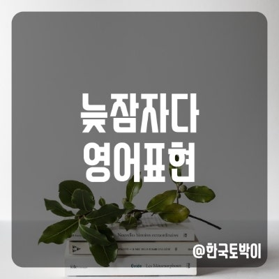  늦잠자다 영어로 (sleep in, oversleep)