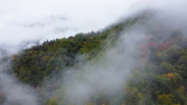  병원코디네이터 자격증 유효기간 , 병원코디네이터 자격증 온라인으로 합격한 비법 정리해드립니다