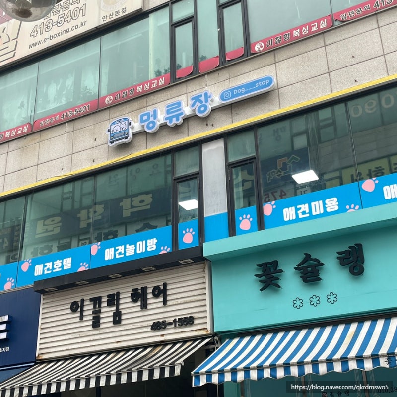사진 2