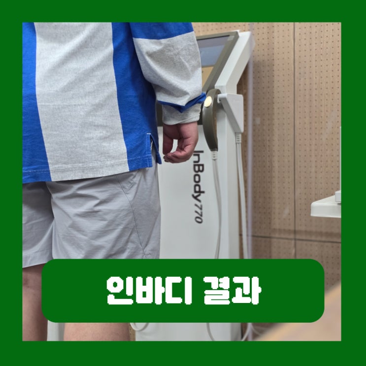  인바디 결과 보는법 측정 분석 여자 남자 체지방률