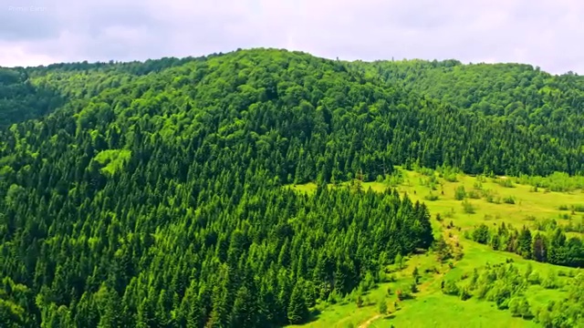  공인중개사 자격증 조회 , 부동산권리분석사자격증 합격한 팁 및 합격률과 난이도