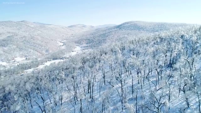  요양병원관리사 자격요건 , 요양병원관리사 자격증 온라인으로 준비한 방법 총 정리