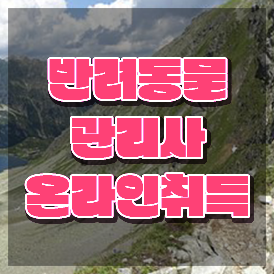  반려동물관리사 취업 , 반려동물관리사 자격증 20일 만에 취득한 과정 및 활용 방법