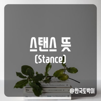  스탠스 뜻 (stance를 취하다란?)