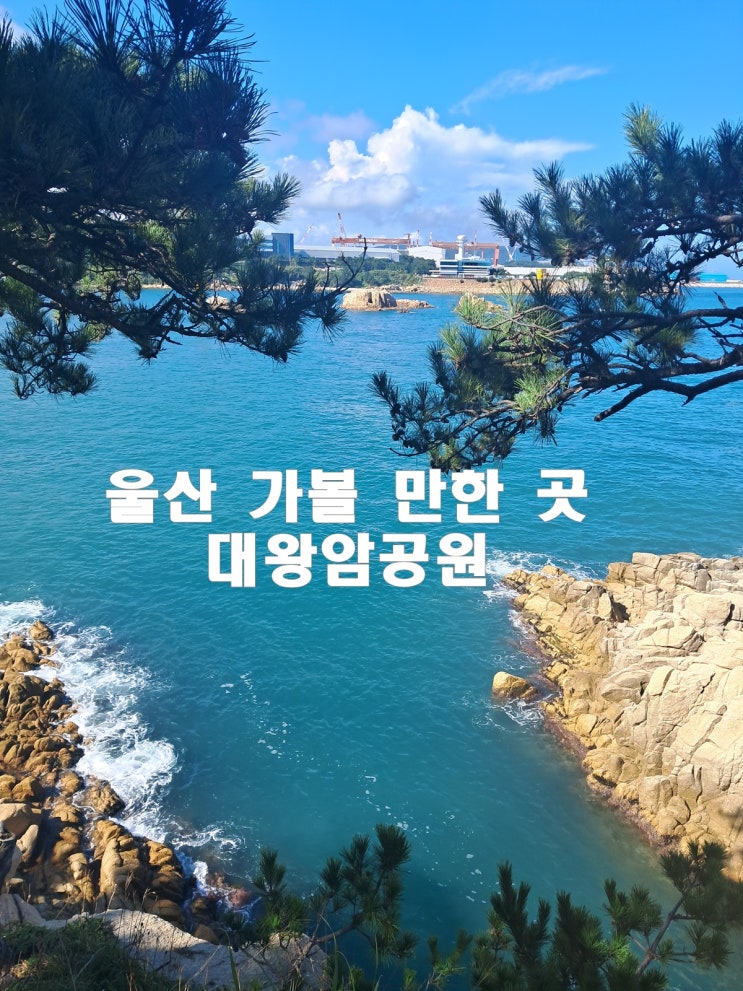  울산 대왕암공원 3시간 힐링 코스 가이드 주차장 정보