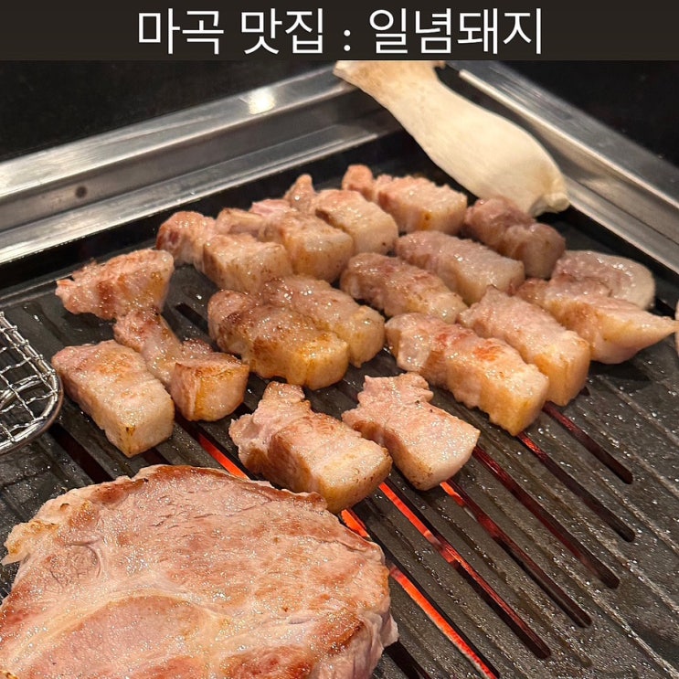  마곡 맛집 [일념돼지] - 발산 단체 회식, 고기 맛집, 발산 삼겹살, 마곡 삼겹살, 강서구 맛집