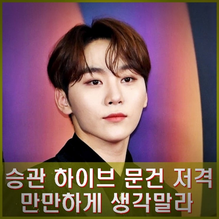 세븐틴 승관 <b>하이브 문건</b> 인스타 저격글. 내부문건 뭐길래.
