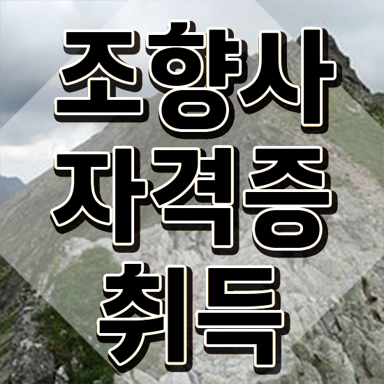  40대남성자격증 , 조향사 비전공자도 쉽고 빠르게 준비했던 꿀팁 모음