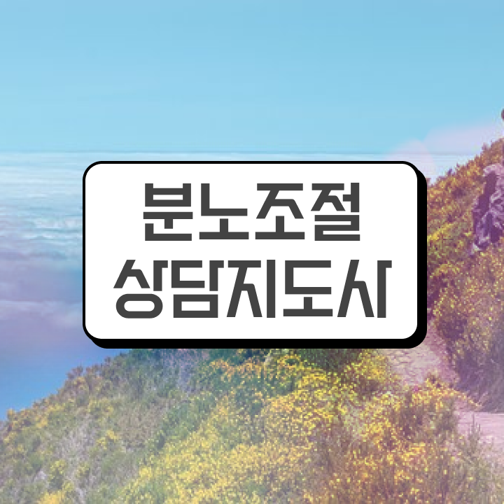  분노조절상담지도사전문학원추천 분노조절상담지도사 온라인으로 간단히 취득 정보