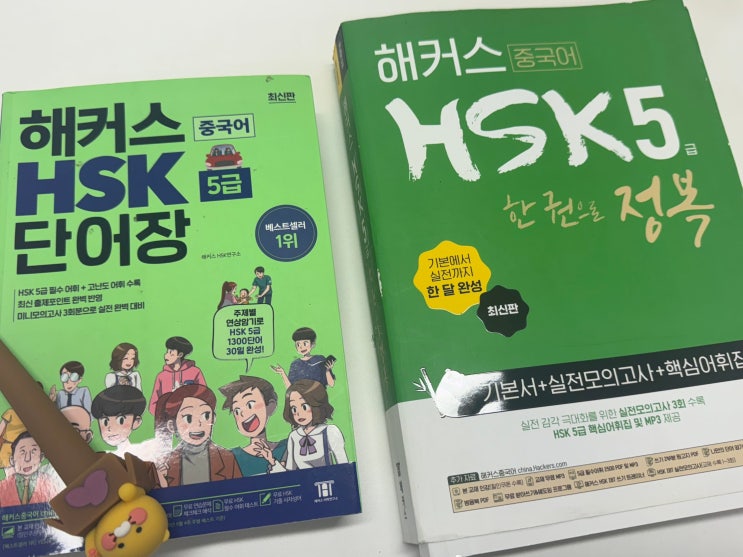  중국어 HSK 5급 인강으로 취준 중 합격한 후기