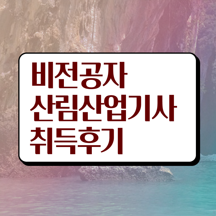  산림산업기사 시험접수 산림산업기사 취득자격 집에서 온라인으로 간단하게 성공한 과정