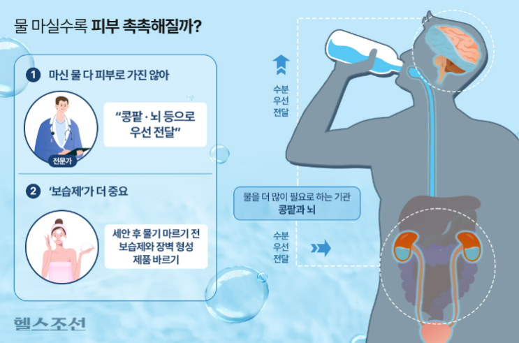 촉촉한 피부를 위한 물, 진짜 효과는? 촉촉한 피부를 위한 물, 진짜 효과는?