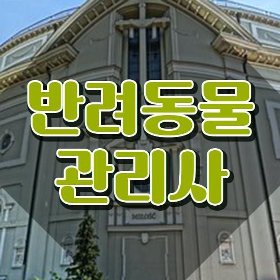  반려동물관리사자격증 , 반려동물관리사 자격증 쉽고 빠르게 준비한 과정 정리